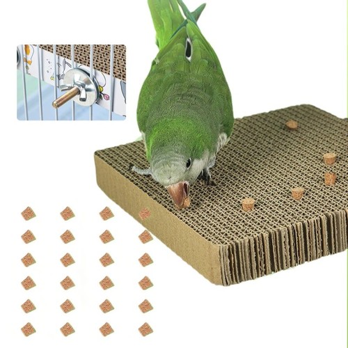 Parakeet toy foraging cork - toy,
