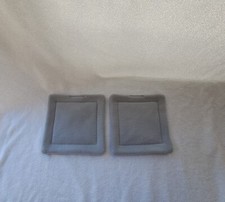 Two Guinea pig / Small animal