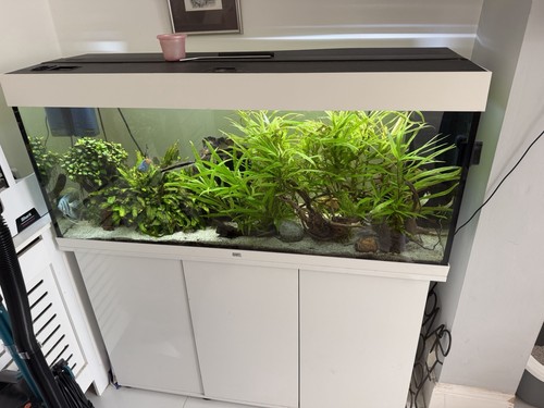 Juwel rio 240l tank cabinet - 240l,