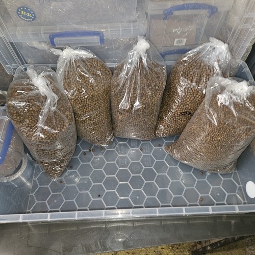Koi carp food - 10kg, mixed