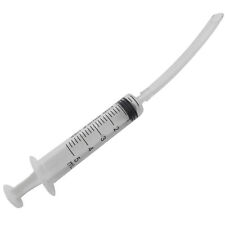 Baby Bird Cockatiel Budgie