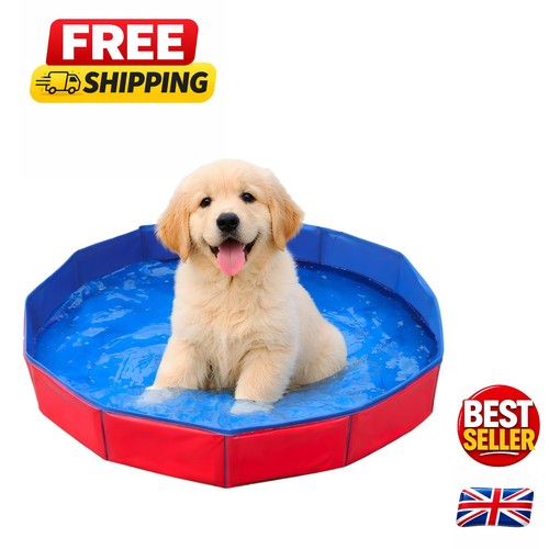 Lightweight pet swimming - swimming, pool