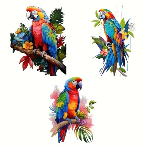 Large colourful parrots - 3x,