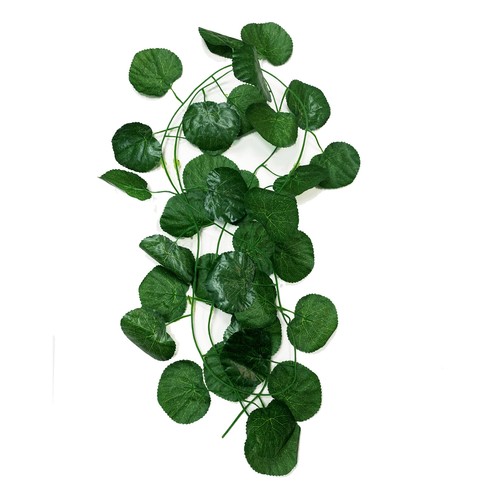 Betta terra green vine - betta,