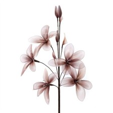 Artificial Flower Arrangement