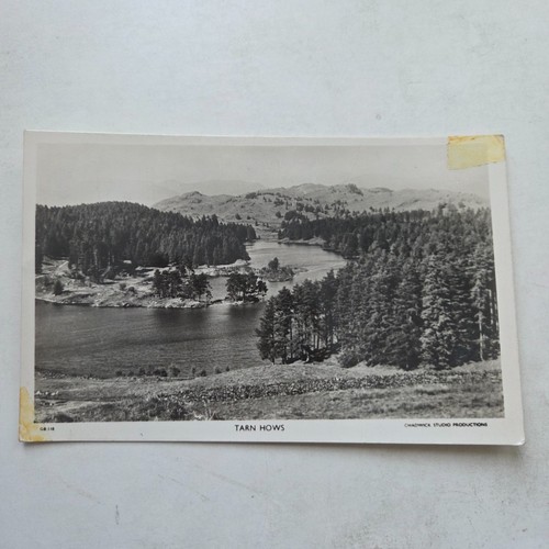 Tarn hows lake district - tarn,
