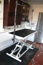 Aeolus Dog Grooming Table -