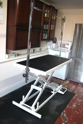 Aeolus dog grooming table - table,