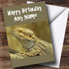 Bearded Dragon Lizard