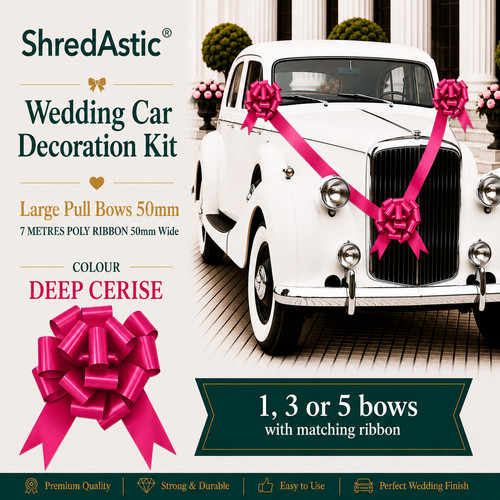 Shredastic wedding car - ,