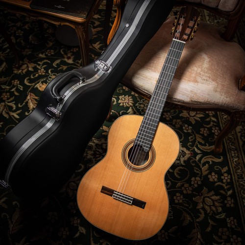 Siccas luthiers recital - luthiers,