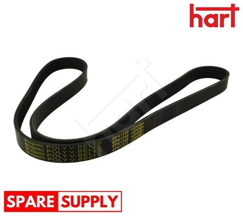 Ribbed belt for - v-ribbed, fiesta