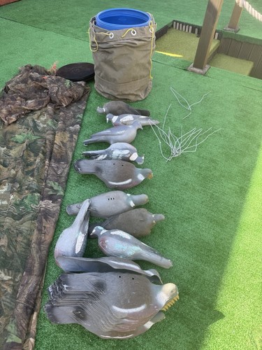Pigeon hide decoys with - &,