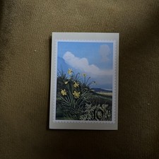 British Flowers Daffodil