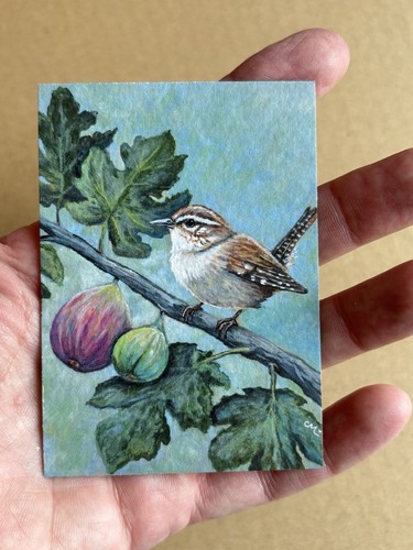 Wren fig branch bird art - on,