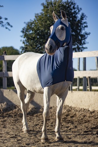 Lycra horse hood blue - blue, small