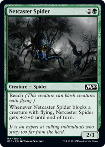 Netcaster spider magic 2020 - netcaster,