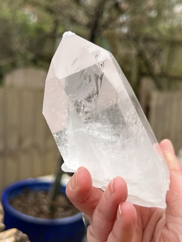 Large lemurian seed clear - large,