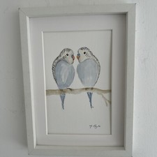 Pair Of Blue Budgerigars/