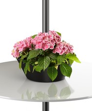 Umbrella Planter for Patio