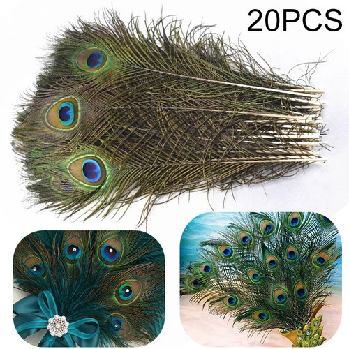 Packs peacock tail feathers - 20,