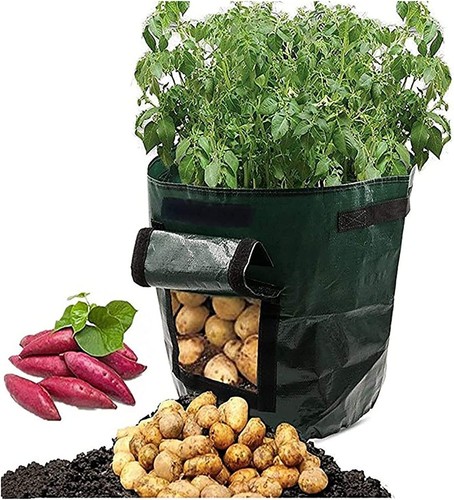 Plant potato planters 10 - plant,