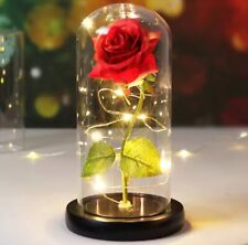 Valentine Day Gift Galaxy Rose