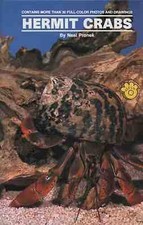 Land hermit crabs neal - hermit,