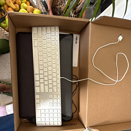 Apple keyboard wired - wired, usb