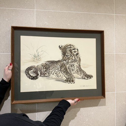 Vintage framed print tiger - vintage,