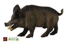 Wild Boar Wildlife Toy Model