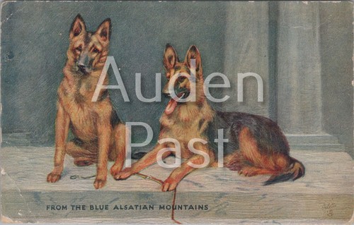 From the blue alsatian - from,