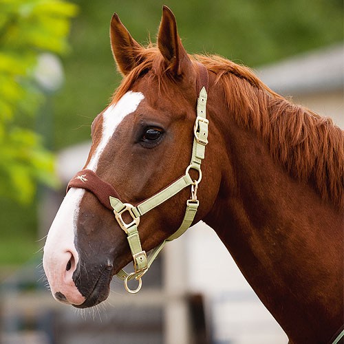 Equi theme luxury stable - "luxury",