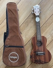 Octopus Concert Wave Acoustic
