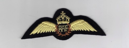 Royal air force - pilots, wings