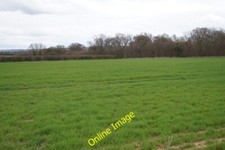 Photo 6x4 Mothers West Field (10 acres) Newfound 2 c2014