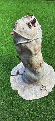Lion garden statue latex - , and