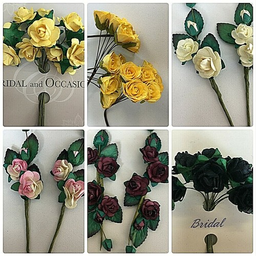 Roses flowers with stem - with,