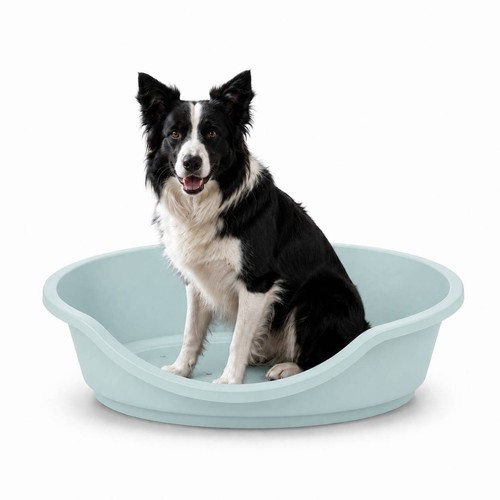 Hard plastic dog cat - dog,