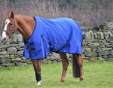 SALE! CLEARANCE Rain Sheet