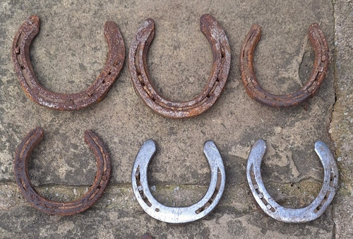 Real used lucky horseshoes - real,