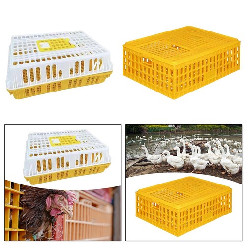 Poultry carrier crate chicken - poultry,