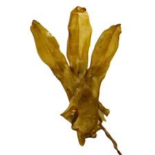 Dried Rabbit Ears Dog Puppy