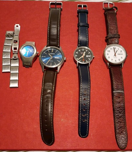 Watch repair hobbyist - watch, job