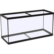 Rectangular Glass Aquarium