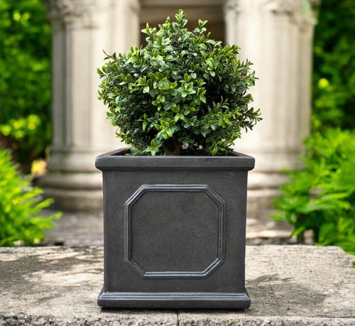 22cm chelsea box planter plant - 22cm,