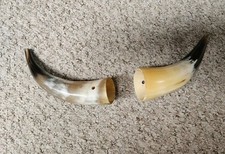 Vintage ornamental horns