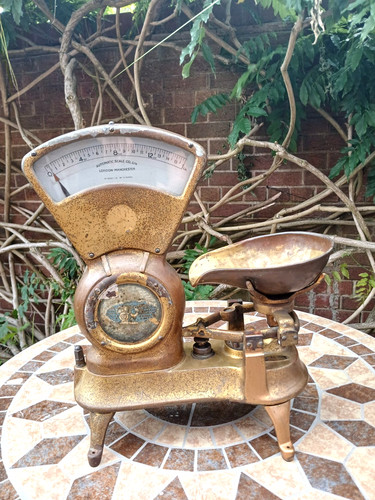 Antique large grocers shop - grocers,