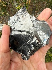 Shungite Elite Crystal Healing