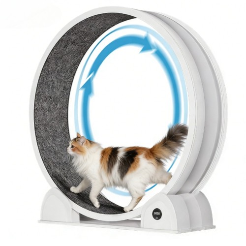 Pet fitness large - pet, cat